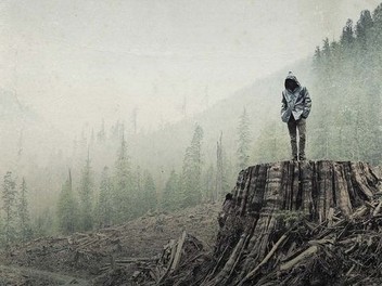 その他 If a Tree Falls: A Story of the Earth Liberation [DVD] [Import] Watch If a Tree Falls: A Story of the Earth Liberation Front
