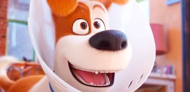 The Secret Life of Pets 2 (2019) - IMDb