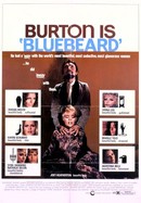 Bluebeard poster image