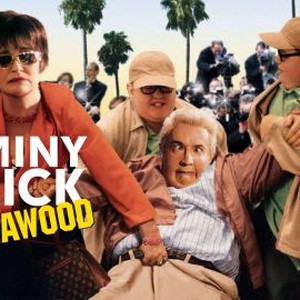 Jiminy Glick in Lalawood photo 4