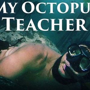 "My Octopus Teacher photo 1"