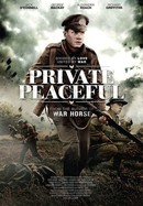 Private Peaceful poster image