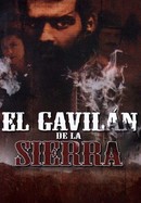 El Gavilán de la Sierra poster image