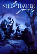 The Niklashausen Journey poster image