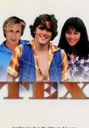 Tex poster image