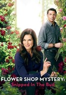 Flower Shop Mystery: Snipped in the Bud poster image