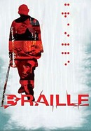 Braille poster image