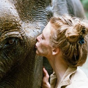 LOVE & BANANAS, (AKA LOVE & BANANAS: AN ELEPHANT LOVE STORY), ASHLEY BELL, 2018. © ABRAMORAMA