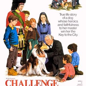 Challenge to Lassie (1949) photo 9