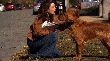 For The Love Of A Dog Cast For The Love Of A Dog Movie DVD