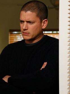 Prison Break Season 4 Episode 19 Rotten Tomatoes