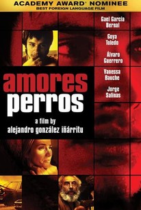 Watch trailer for Amores perros