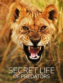 Secret Life of Predators: Season 1 | Rotten Tomatoes