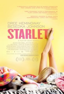 Starlet poster