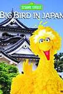 Big Bird in Japan