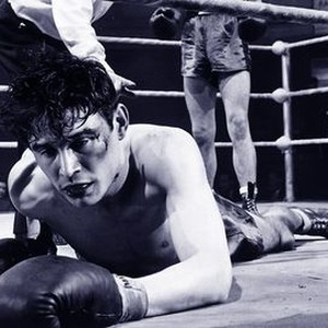 The Square Ring (1952) photo 5