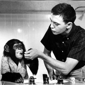 The Monkey's Uncle (1965) photo 1