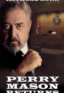 Perry Mason Returns poster image