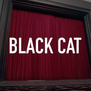 Black Cat photo 4