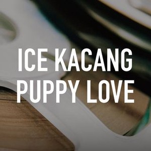 Ice Kacang Puppy Love photo 3