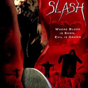 Slash photo 7