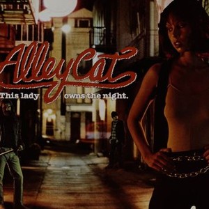 Alley Cat photo 5