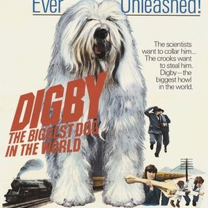 Digby, the Biggest Dog in the World photo 3