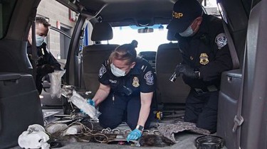 To Catch a Smuggler: Secret Stash: Season 3, Episode 12 | Rotten ...