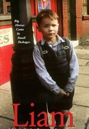 Liam poster image