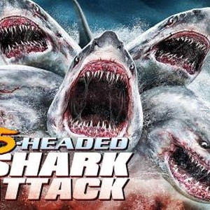 "5-Headed Shark Attack photo 14"