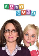 Baby Mama poster image