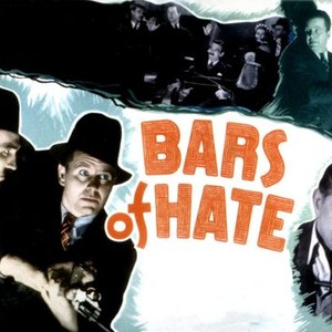 Bars of Hate photo 5