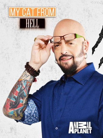 My cat from hell season 3 shop episode 9