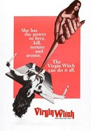 The Virgin Witch poster image