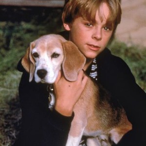 Shiloh 2: Shiloh Season (1999) photo 2