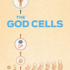 The God Cells photo 6