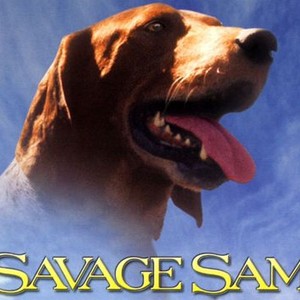 "Savage Sam photo 1"