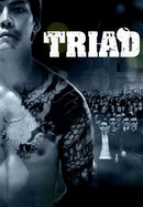 Triad poster image