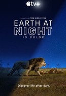 Earth at Night in Color poster image