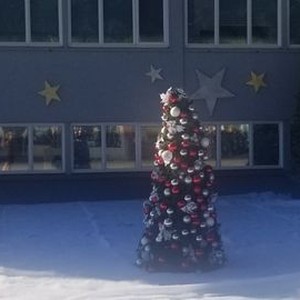 A Christmas Tree Grows in Colorado (2020) photo 4