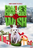 Charlie's Christmas Wish poster image
