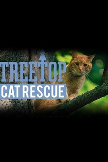 Treetop cat rescue store