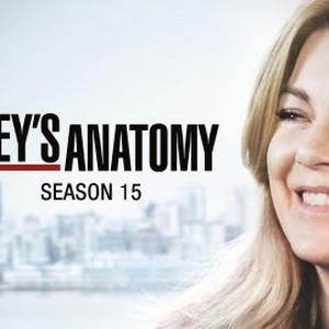 greys anatomy 15-13 greys anatomy 15-13