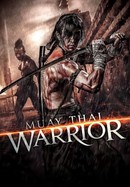 Muay Thai Warrior poster image