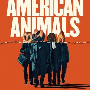 American Animals photo 1