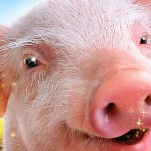 Arlo: The Burping Pig photo 4