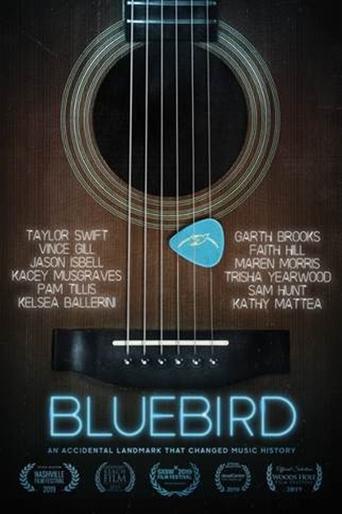 Bluebird poster
