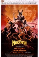 The Norseman poster image
