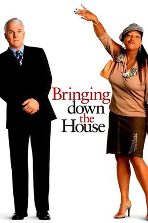Bringing Down the House poster