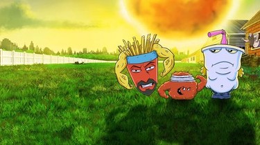 Aqua Teen Hunger Force' Stars Leading Very Different Lives As